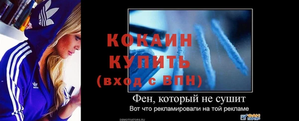 трава Белокуриха