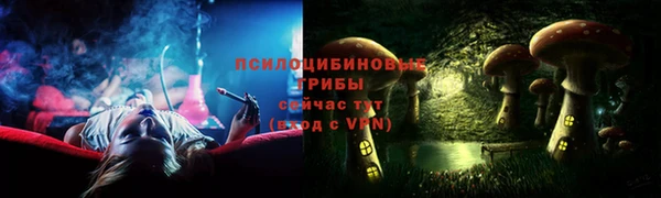 ГАЛЛЮЦИНОГЕННЫЕ ГРИБЫ Беломорск