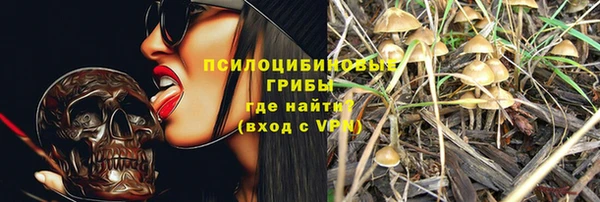 ГАЛЛЮЦИНОГЕННЫЕ ГРИБЫ Беломорск