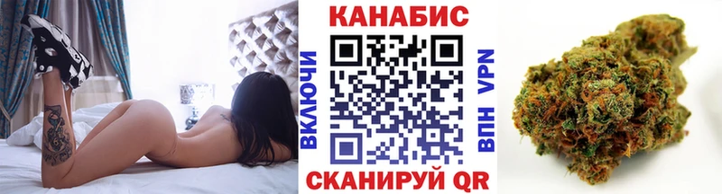 Марихуана план  Магас 